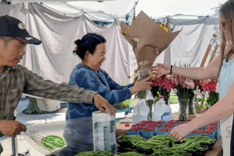 It’s A Berry Summer Wednesday at the Market!